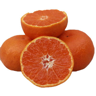 顺丰包邮【假一罚十】象山红美人