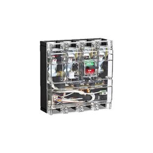 德力西透明外壳DZ20L-250T/4300 160A 200A 250A塑壳式漏电断路器