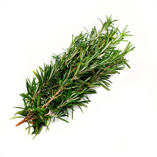 新鲜迷迭香 提神醒脑香料 西餐调料艾菊 匍匐迷迭香食用香草 100g