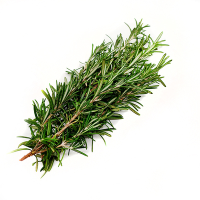 提神醒脑匍匐食用新鲜迷迭香