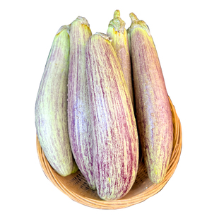 云南冰川糯茄西双版纳茄子新鲜名菜正宗脆皮冰川糯茄花茄餐厅新鲜