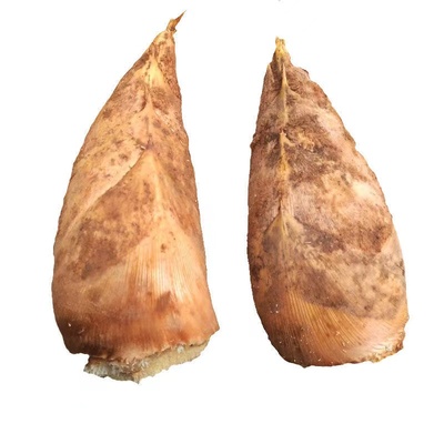 新鲜冬笋蔬菜新鲜冬笋现挖