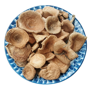 寒菌野生菌云南土特产谷熟菌干杂菌干货野山菌子干菇类大全乌枞菌