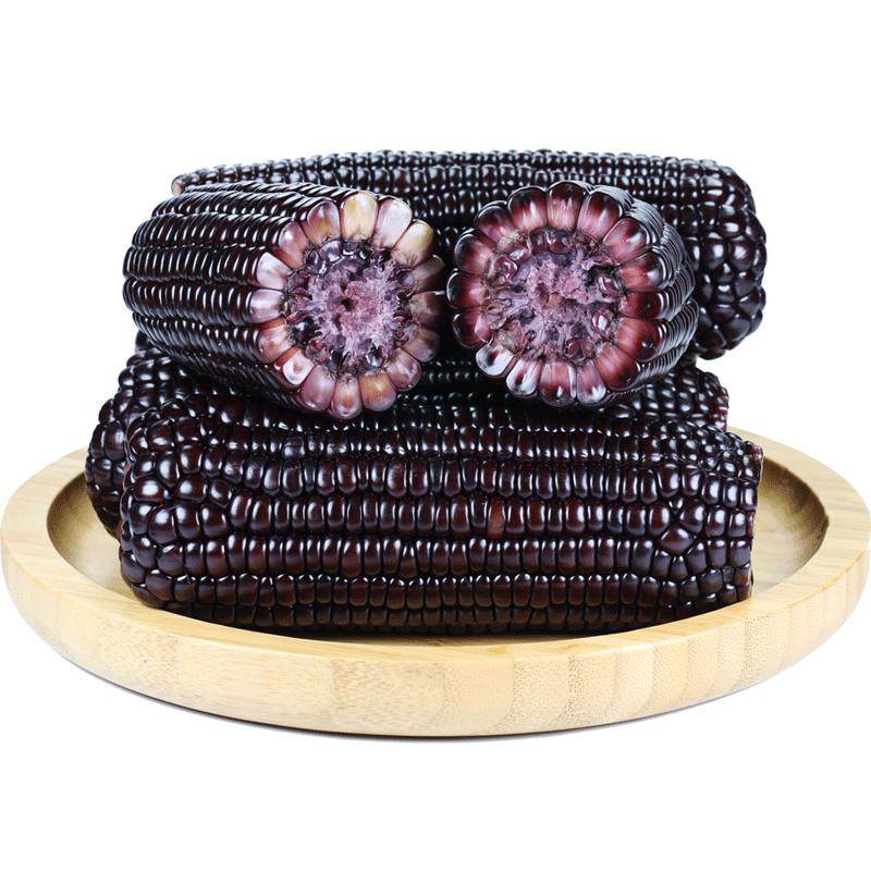 东北黑糯玉米10根包邮新鲜紫黏玉米棒子非即食甜粘嫩苞米真空蔬菜