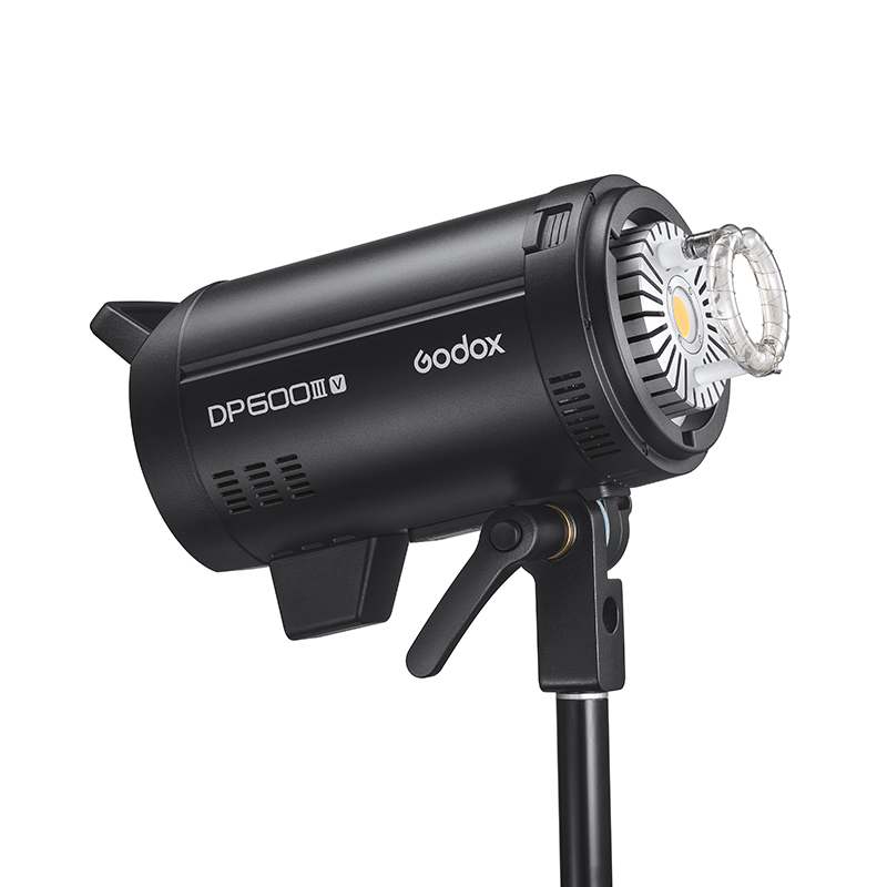 godox神牛DP600W四代闪光灯大功率800W 1000W摄影灯室内静物人像广告静物拍摄三灯套装影室闪光灯专业影棚灯