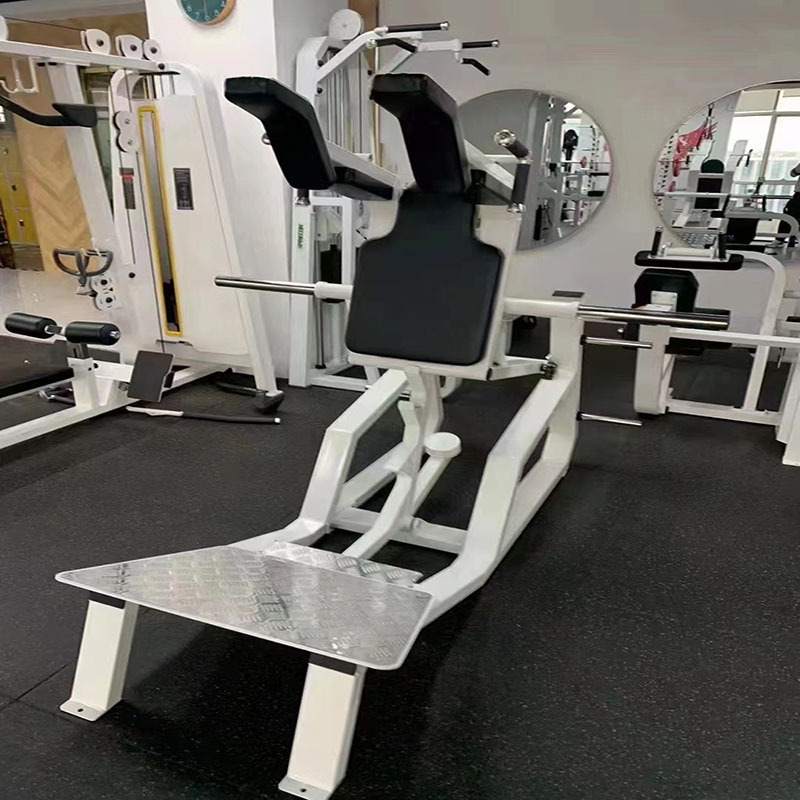 商用健身器材健身房倒蹬机 倒顺蹬一体 双功能 哈克深蹲机