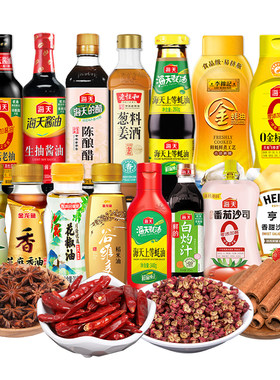 调料组合套装家用酱油醋调料炒菜