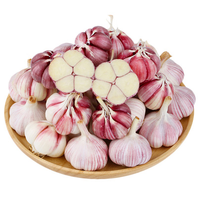 现挖鲜蒜，辛辣十足，紫皮大蒜