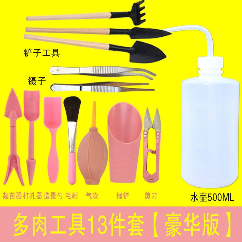 工具套装多肉家用组合镊子铲子植物养护养花迷你肉肉盆栽园艺