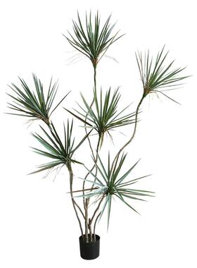 仿真绿植吉姆兰北欧小众落地盆栽