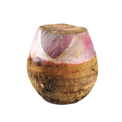 龙香芋兴化垛田新鲜芋头粉糯