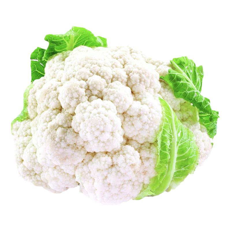 雪山白色种子早熟耐热花椰菜