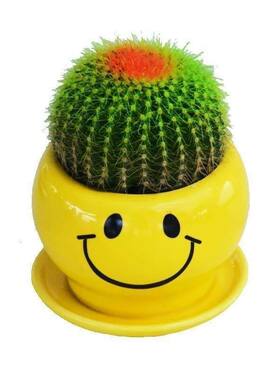 陶瓷卡通风笑脸特色福字迷你花盆