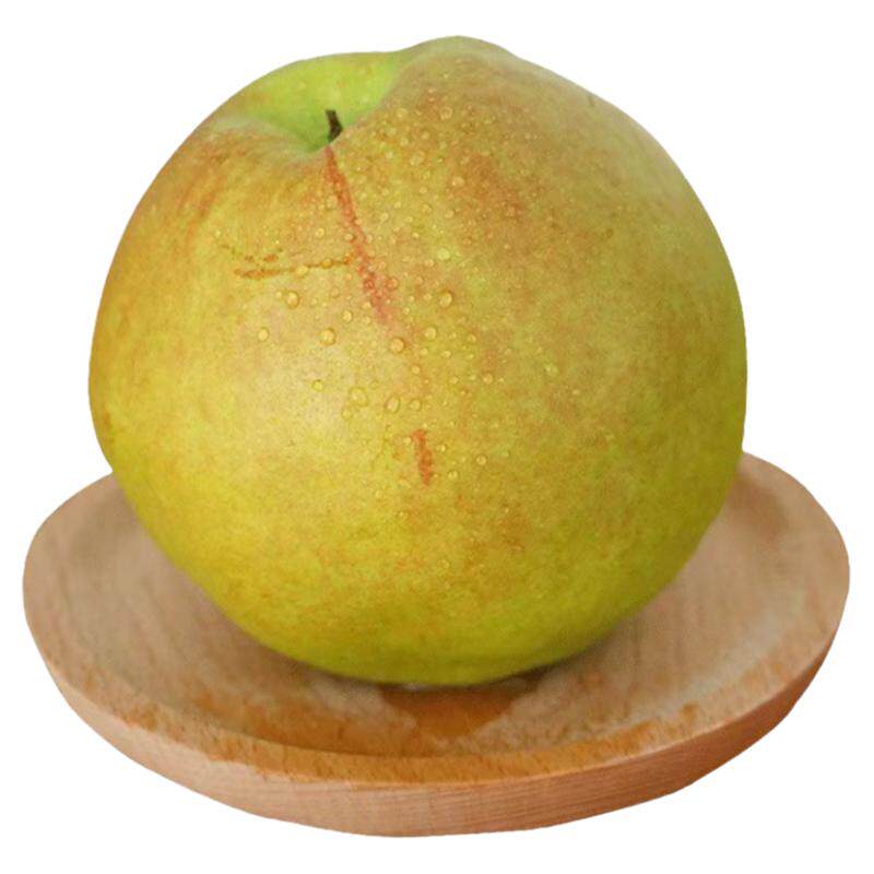 现摘现发酥梨玉露香大果精品