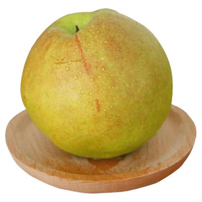 现摘现发酥梨玉露香大果精品