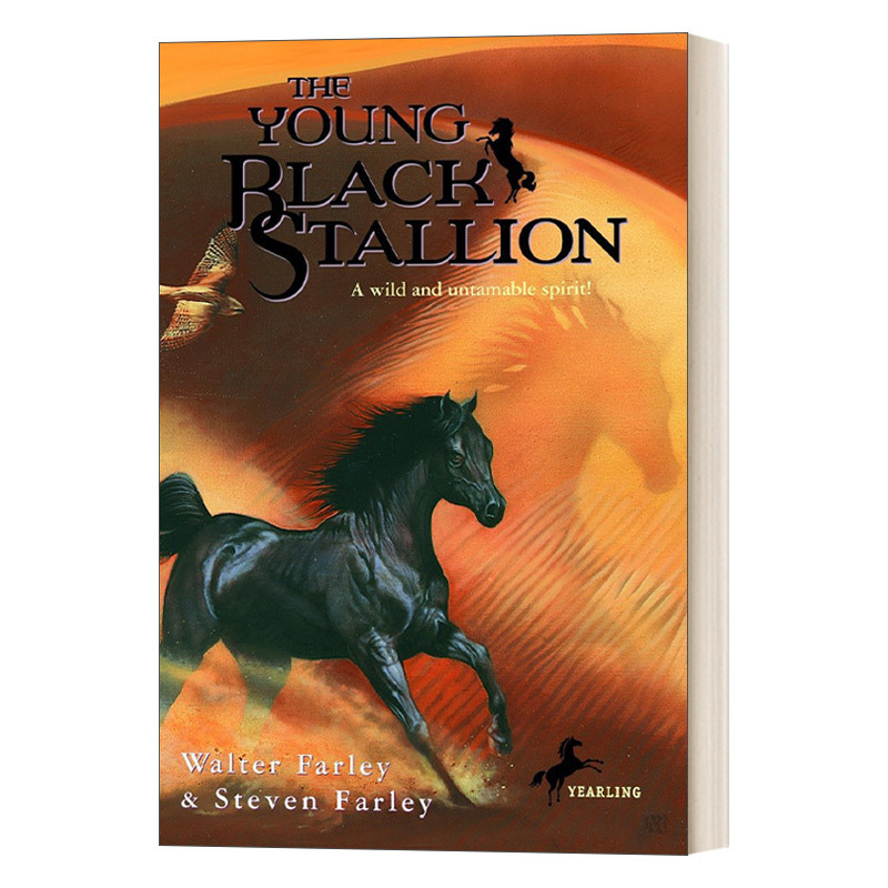 英文原版 The Young Black Stallion 黑神驹系列 年轻的黑神驹 野性而不可驯服的灵魂! Walter Farley 小说 英文版 进口英语书籍
