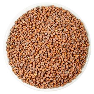 同仁堂正品莱菔子中药材500g中药来服子泡茶白萝卜子另有炒莱菔子