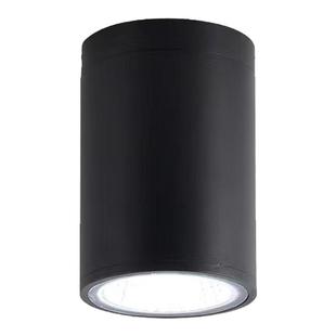 明装防水射灯筒灯沐浴卫生间阳台圆形吸顶灯雨棚酒店地下室户外灯