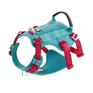 TRUELOVE狗狗牵引绳胸背带链子背心式中大型犬遛狗防逃逸TLH7011