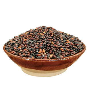 正宗血糯米新米五谷杂粮黑香糯米黏米包粽子饭团酿酒农家粗粮500g