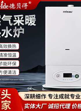 源头厂家20W-40W供暖取暖静音 智能显示燃气热水炉 壁挂炉地暖用