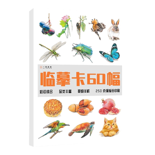 彩铅临摹卡综合篇一线美誉步骤对应美术绘画卡片兴趣高清原创