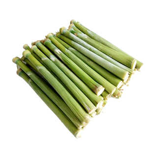 北方甘蔗种子棵棵甜甜杆种子甜高粱芦栗甜秫秸糖高粱种子脆甜多汁