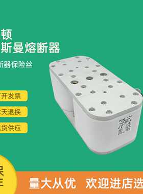 议价全新快速熔断器保险170M7521 170M7531 170M7532 170M7542