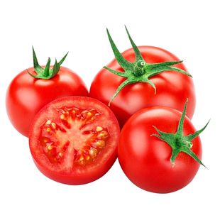 多年生番茄树种子西瓜树茄子树辣椒树茄子树黄瓜树苦瓜树蔬菜种孑