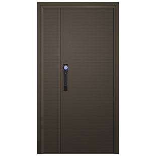 FUSIM富新 简瑞 定制精雕全铝装甲入户门铸铝防盗进户单门子母门