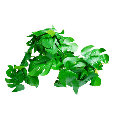 爬虫生态造景植物爬宠躲避屋饲养