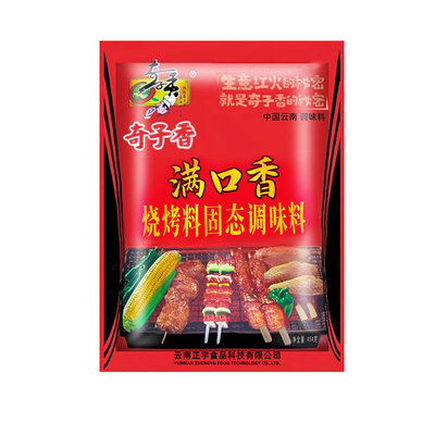 奇子香满口香烧烤固态调味料454g