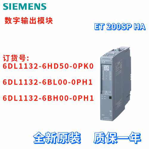 议价西门子 6DL1132-6HD50/6BL00/6BH00-0PK0/0PH1 数字输出模块