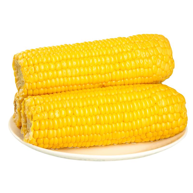 水果甜玉米开袋即食新鲜免煮早餐粗玉米甜玉米棒240克/支整箱穗康