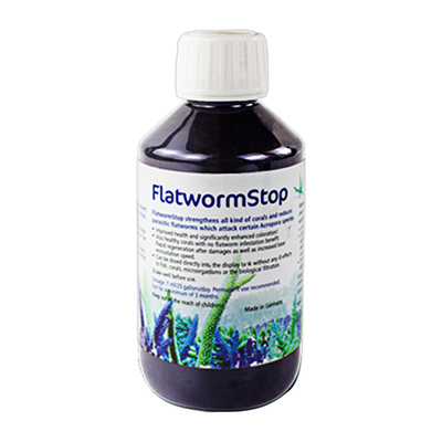 德国stop检疫增加静风珊瑚