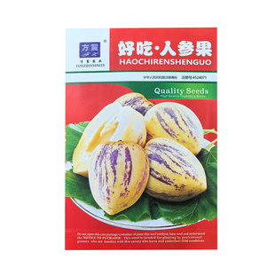 人参果种子种籽圆果人生果树种早熟南方北方四季食用水果蔬菜种子