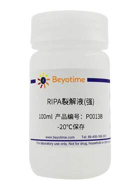 碧云天Beyotime P0013B RIPA裂解液(强) 100ml