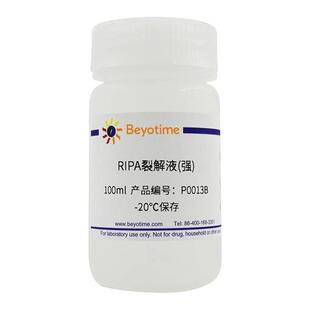 碧云天Beyotime P0013B RIPA裂解液(强) 100ml