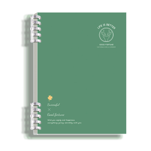 高颜值不硌手活页笔记本可拆卸B5线圈活页本简约大学生a4笔记本子考研可拆环扣方格记事纸软皮外壳日记本定制