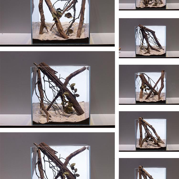 鱼缸造景溪流石30厘米方缸造景木南美原生沉木组合小鱼缸溪流缸