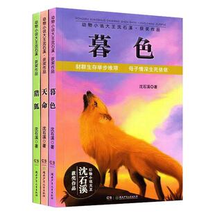 动物小说大王沈石溪获奖作品(套装共3册)天命+暮色+猎狐 儿童文学彩色图画故事书 精选名家经典 老师推荐中小学生课外阅读书籍