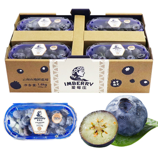 【大蓝莓】爱莓庄蓝莓 特大果皇冠枝冠稼沃爱梅庄同款云南蓝莓