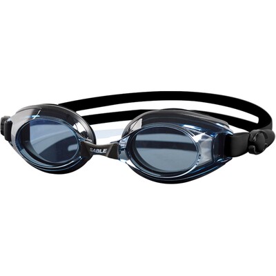 sable黑貂近视泳镜带度数的620pt