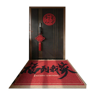 丝圈地垫入户门垫进门红色门口脚垫门外蹭脚垫防滑耐脏新年垫子