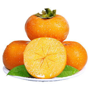 巧克力脆柿子新鲜水果柿子当季正宗冰糖心黄甜脆火晶柿子整箱包邮