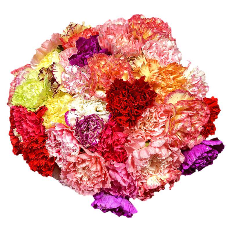 鲜花北京康乃馨插花母亲节顺丰