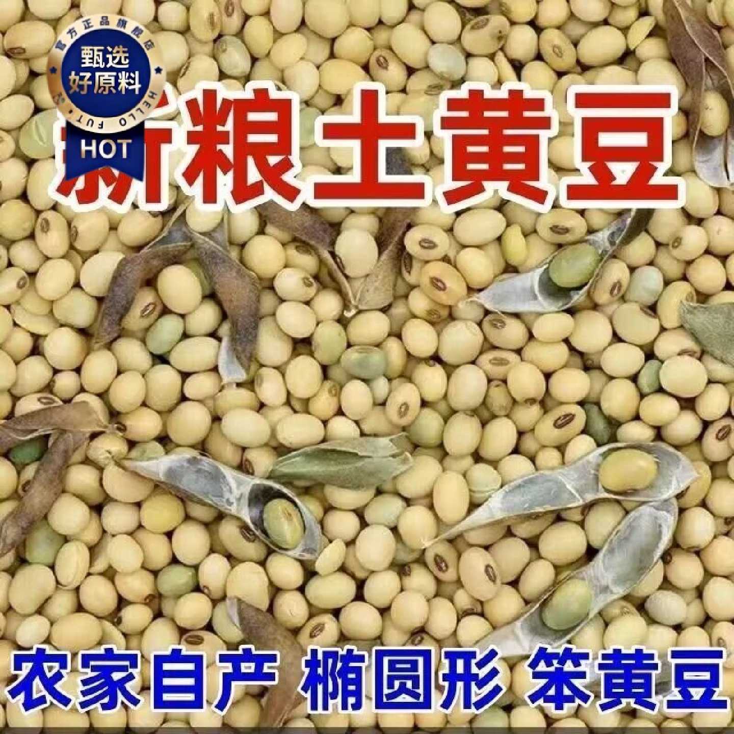 当季土黄豆老品种椭圆形农家自种大豆豆浆豆腐专用批发新鲜老品种