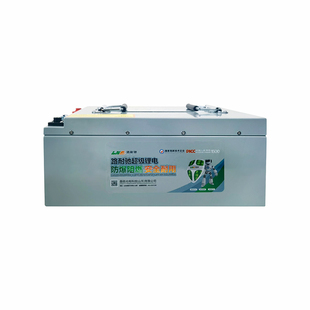 比亚迪磷酸铁锂刀片电芯 大容量 电动三轮车四轮车专用动力锂电池