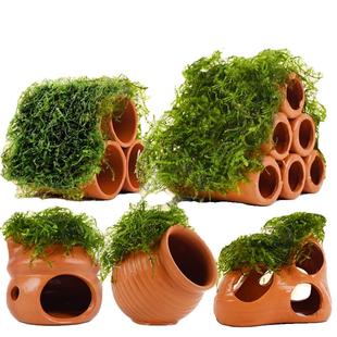 莫斯陶罐躲避屋装饰水草鱼缸造景植物鱼虾躲避洞虾屋摆件小鱼繁殖