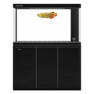 闽江鱼缸客厅家用热弯超白玻璃大型水族箱弧形底滤生态龙鱼缸新款